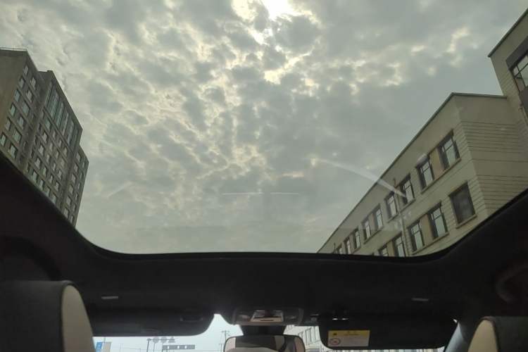 Used BYD Dolphin 2023 420 km Fashion Edition Headliner