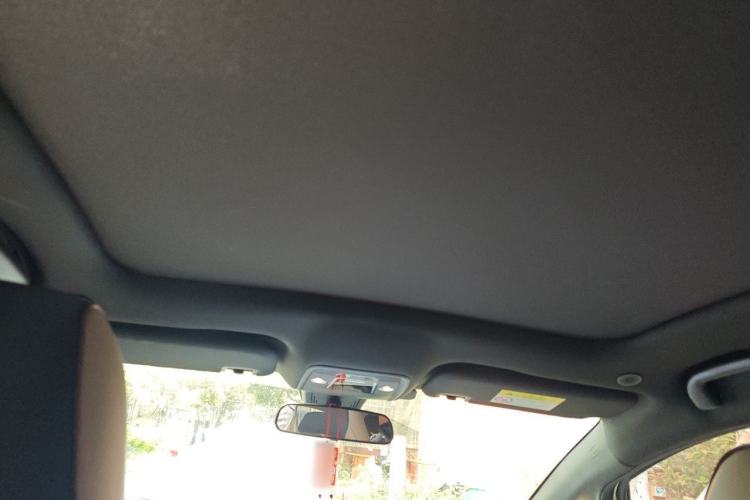 Used BYD Dolphin 2023 420 km Fashion Edition Headliner