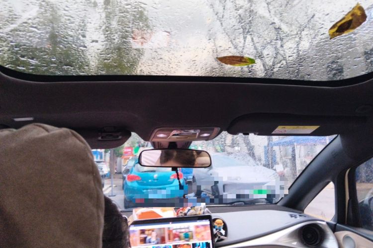 Used BYD Dolphin 2023 420 km Fashion Edition Headliner
