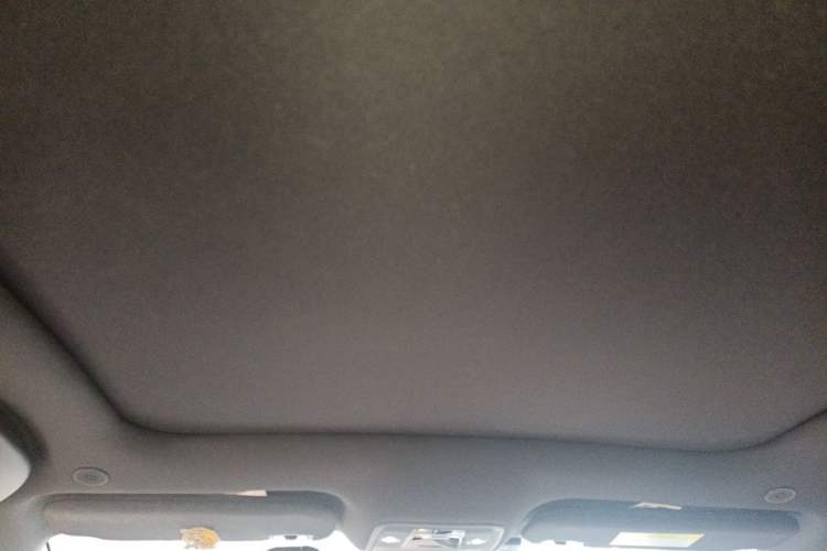Used BYD Dolphin 2023 420 km Fashion Edition Headliner