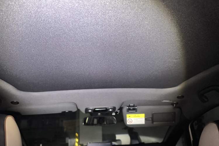 Used BYD Dolphin 2023 420 km Fashion Edition Headliner