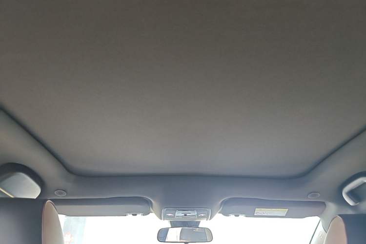 Used BYD Dolphin 2023 420 km Fashion Edition Headliner