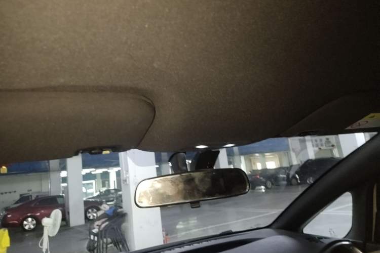 Used BYD Dolphin 2023 420 km Free Version Headliner