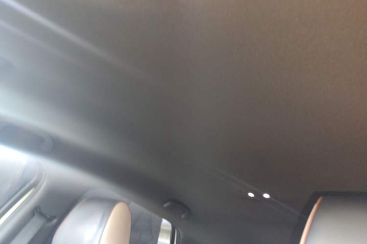 Used BYD Dolphin 2023 420 km Free Version Headliner