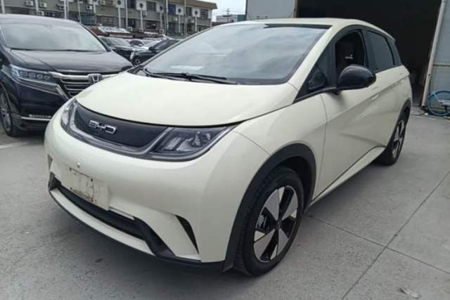 Ojetý BYD Dolphin 2023 420 km Free Version