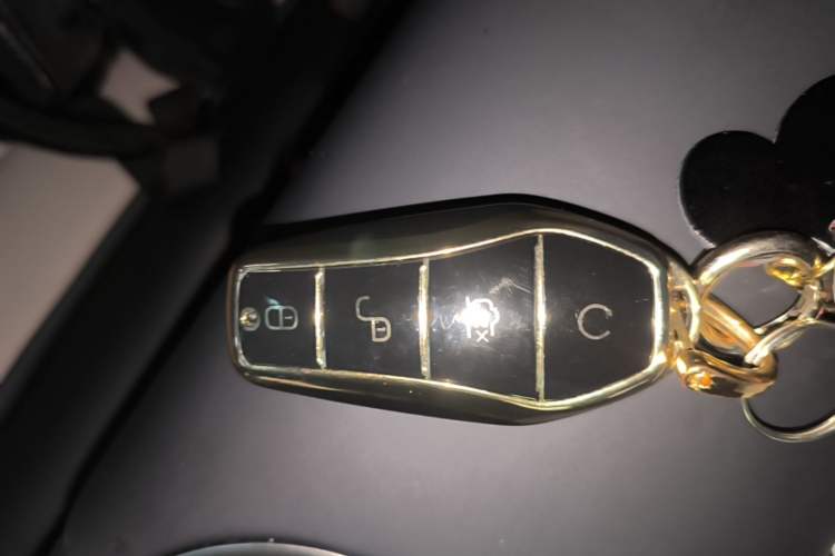 Used BYD Dolphin 2023 420 km Fashion Edition Interior 1