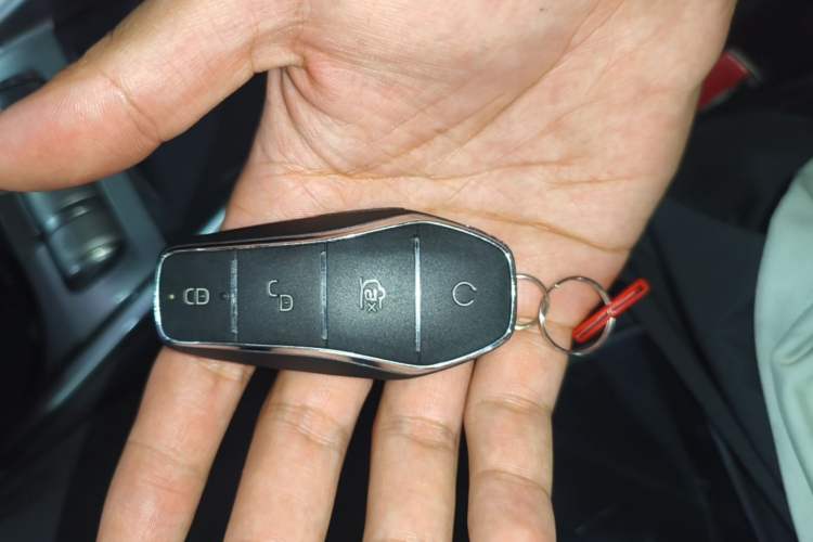 Used BYD Dolphin 2023 420 km Fashion Edition Interior 1