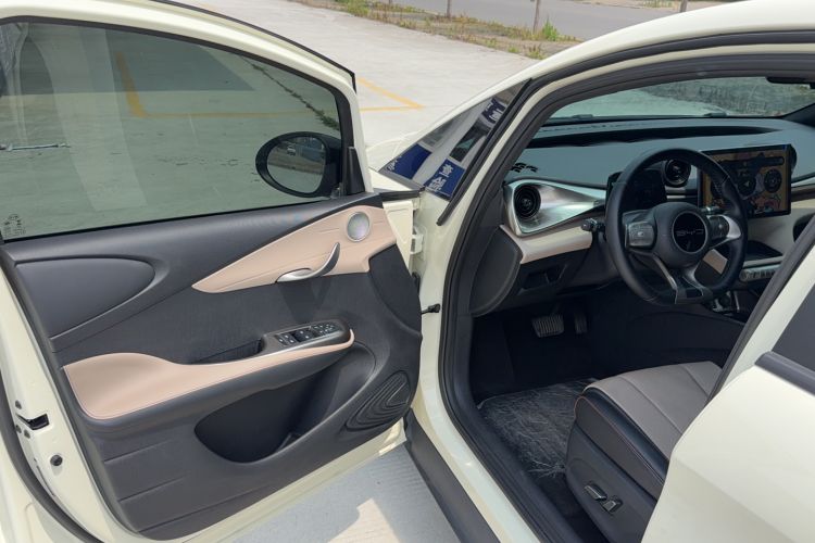 Used BYD Dolphin 2023 420 km Free Version Interior 2