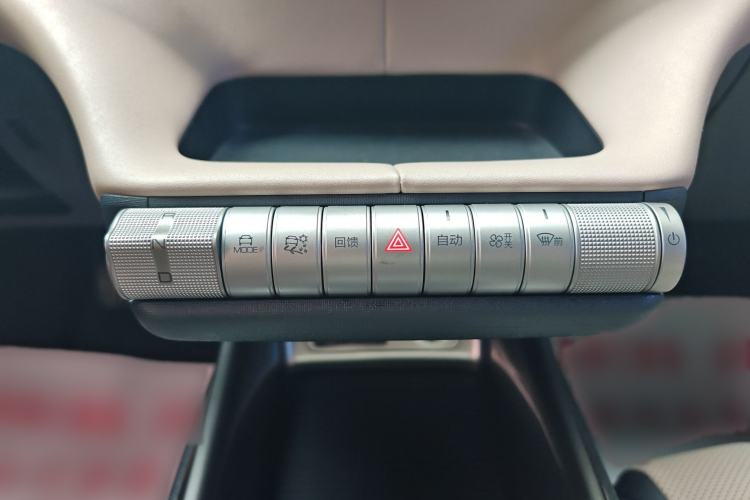 Used BYD Dolphin 2023 420 km Free Version Interior 4