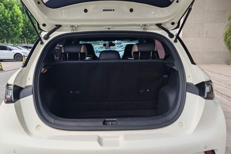 Used BYD Dolphin 2023 420 km Free Version Interior 9