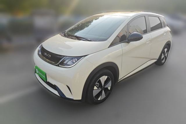 Used BYD Dolphin 2023 420 km Free Version