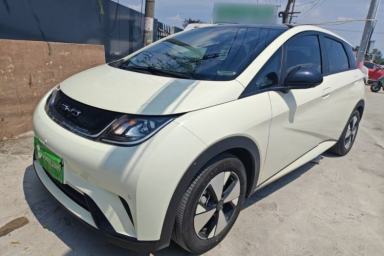 Used BYD Dolphin 2023 420 km Fashion Edition