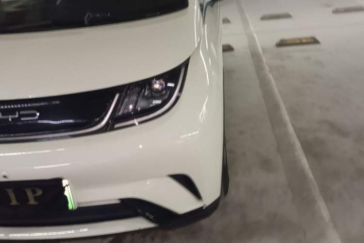 Used BYD Dolphin 2023 420 km Free Version Left Front Headlight