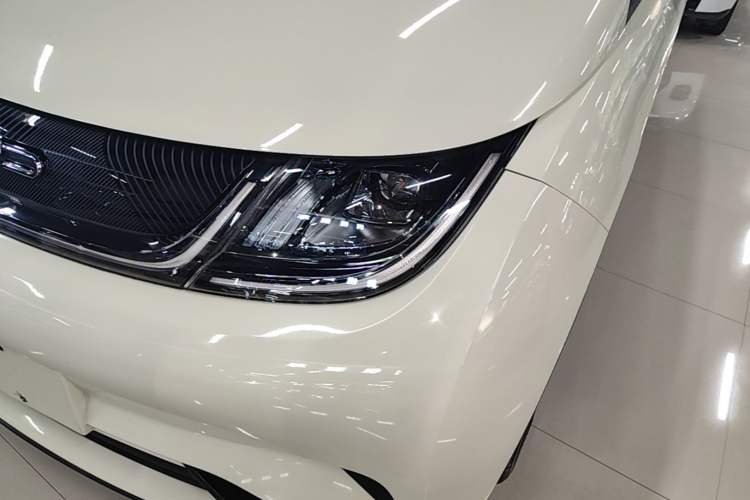 Used BYD Dolphin 2023 420 km Free Version Left Front Headlight