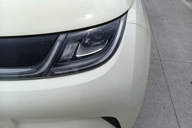 Used BYD Dolphin 2023 420 km Free Version Left Front Headlight