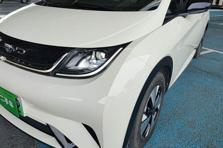 Used BYD Dolphin 2023 420 km Free Version Left Front Headlight
