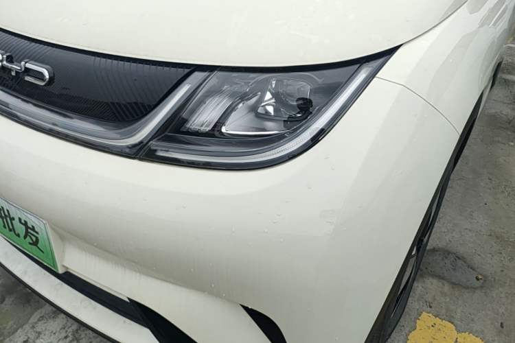Used BYD Dolphin 2023 420 km Free Version Left Front Headlight