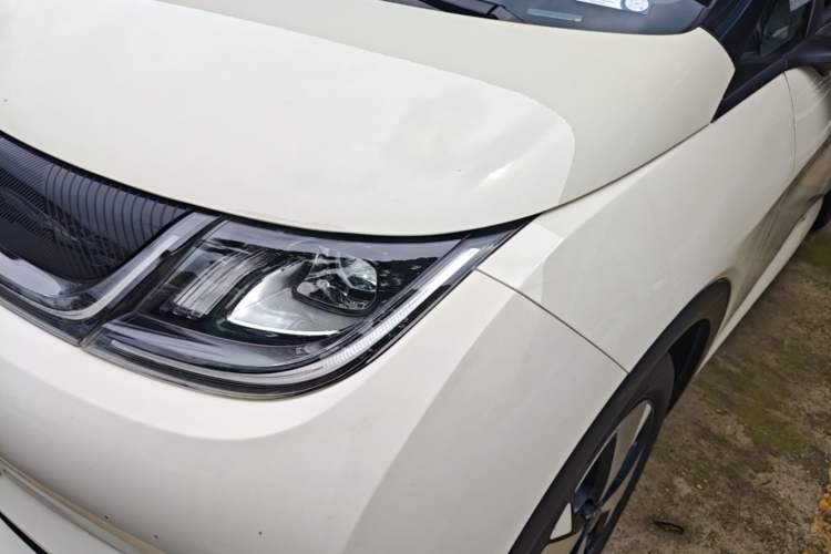 Used BYD Dolphin 2023 420 km Free Version Left Front Headlight