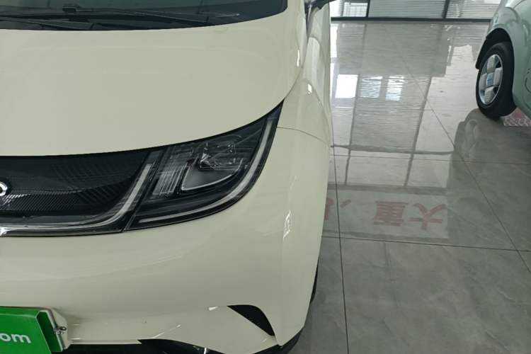 Used BYD Dolphin 2023 420 km Free Version Left Front Headlight