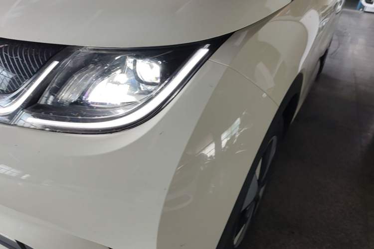 Used BYD Dolphin 2023 420 km Free Version Left Front Headlight