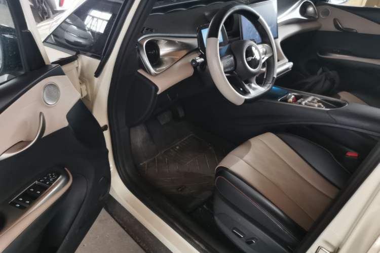 Used BYD Dolphin 2023 420 km Free Version Left Front Seat