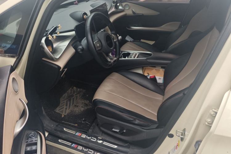 Used BYD Dolphin 2023 420 km Fashion Edition Left Front Seat