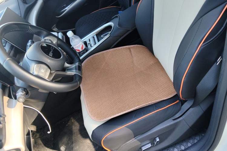 Used BYD Dolphin 2023 420 km Fashion Edition Left Front Seat