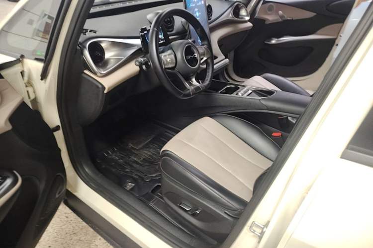 Used BYD Dolphin 2023 420 km Free Version Left Front Seat