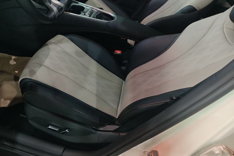 Used BYD Dolphin 2023 420 km Fashion Edition Left Front Seat