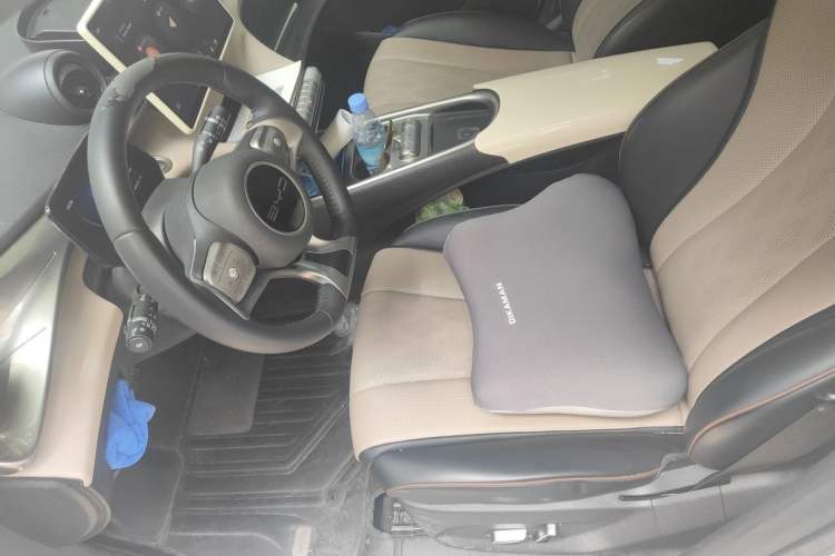 Used BYD Dolphin 2023 420 km Fashion Edition Left Front Seat