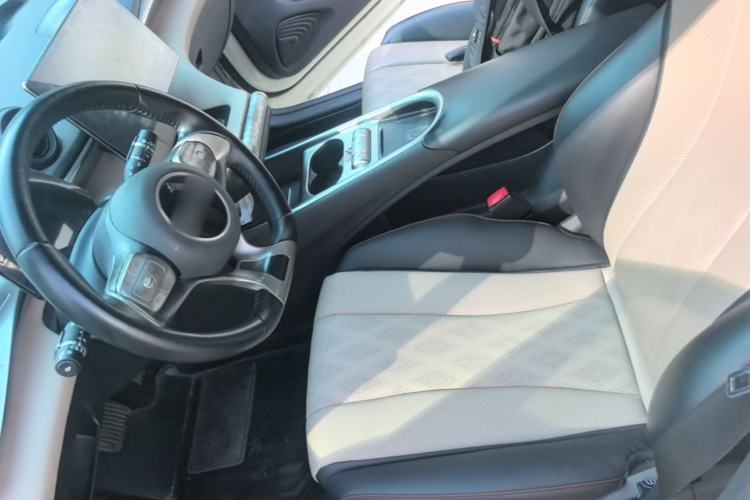 Used BYD Dolphin 2023 420 km Fashion Edition Left Front Seat