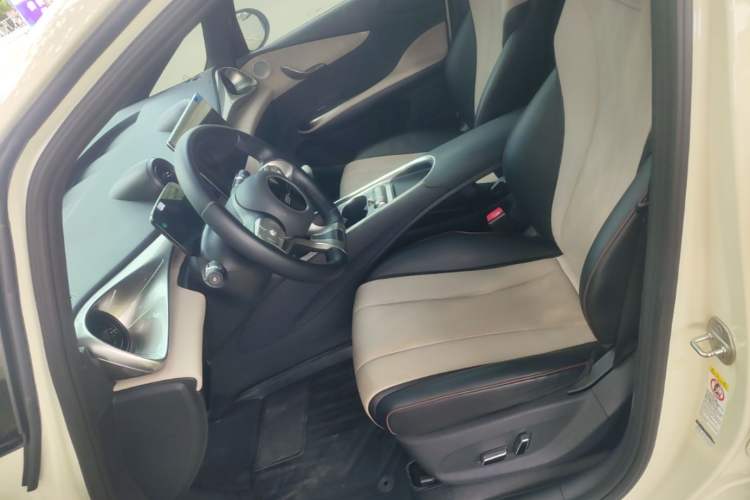 Used BYD Dolphin 2023 420 km Free Version Left Front Seat