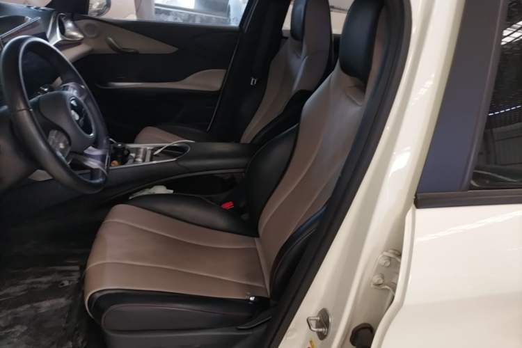 Used BYD Dolphin 2023 420 km Free Version Left Front Seat