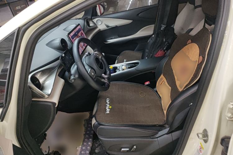 Used BYD Dolphin 2023 420 km Free Version Left Front Seat
