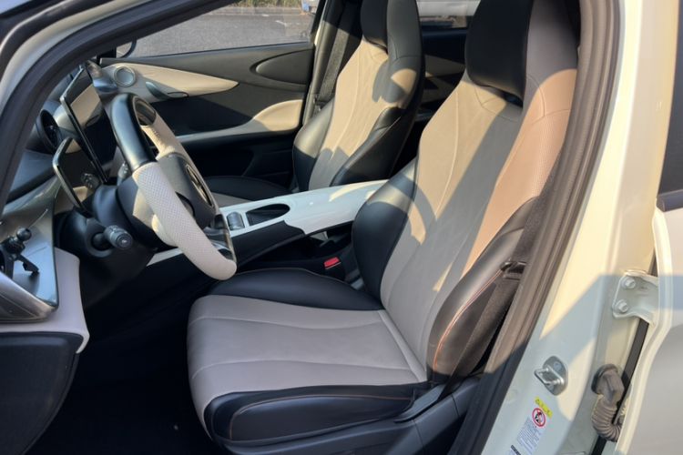 Used BYD Dolphin 2023 420 km Fashion Edition Left Front Seat