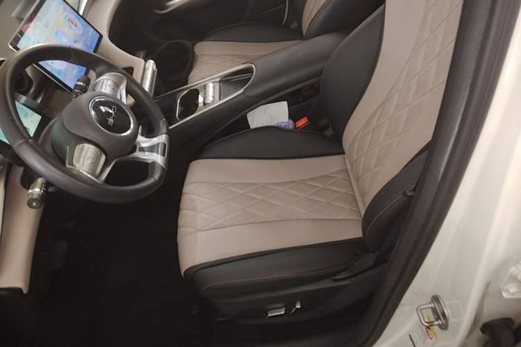 Used BYD Dolphin 2023 420 km Free Version Left Front Seat