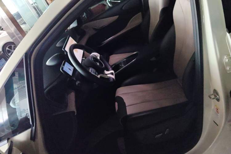 Used BYD Dolphin 2023 420 km Fashion Edition Left Front Seat