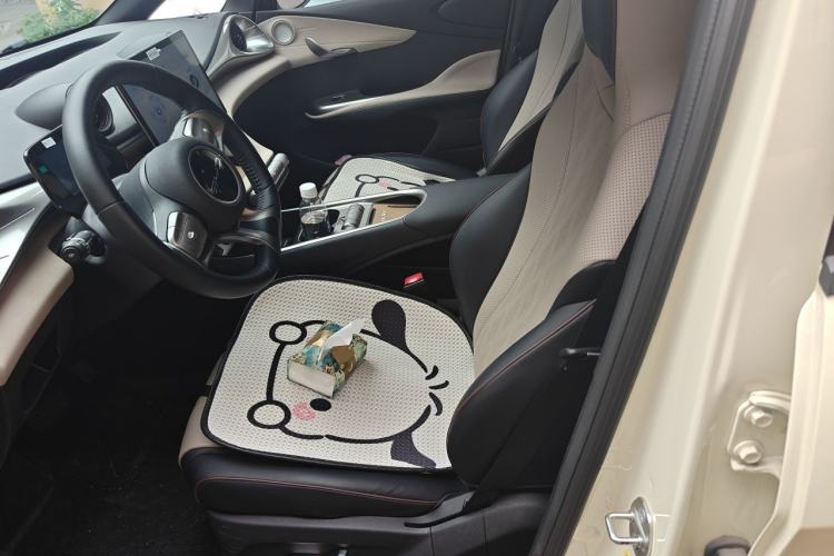 Used BYD Dolphin 2023 420 km Fashion Edition Left Front Seat