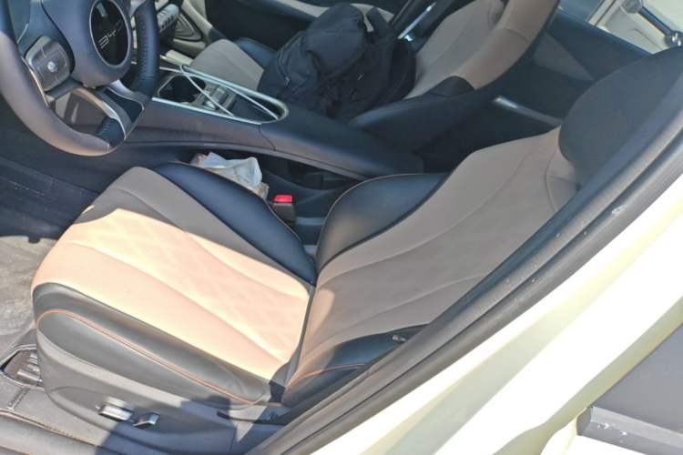 Used BYD Dolphin 2023 420 km Fashion Edition Left Front Seat