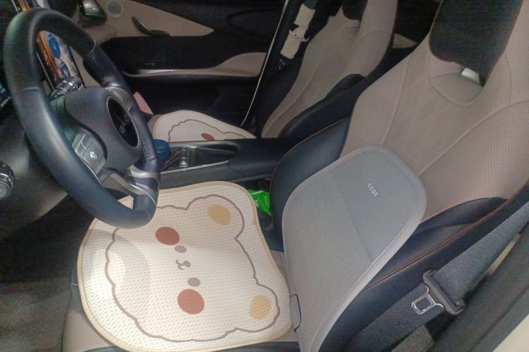 Used BYD Dolphin 2023 420 km Fashion Edition Left Front Seat