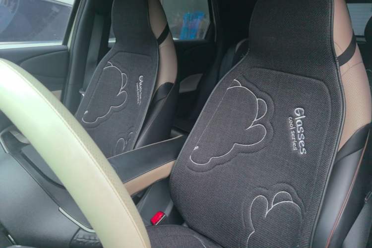Used BYD Dolphin 2023 420 km Free Version Left Front Seat