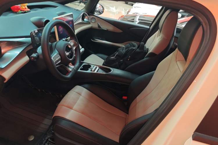 Used BYD Dolphin 2023 420 km Fashion Edition Left Front Seat