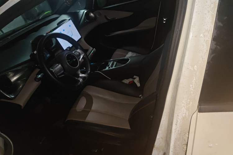Used BYD Dolphin 2023 420 km Fashion Edition Left Front Seat