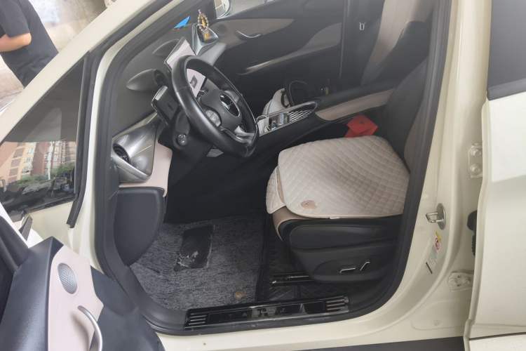 Used BYD Dolphin 2023 420 km Free Version Left Front Seat