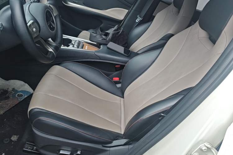 Used BYD Dolphin 2023 420 km Fashion Edition Left Front Seat
