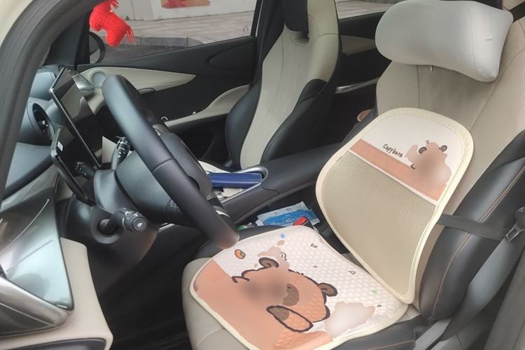 Used BYD Dolphin 2023 420 km Fashion Edition Left Front Seat