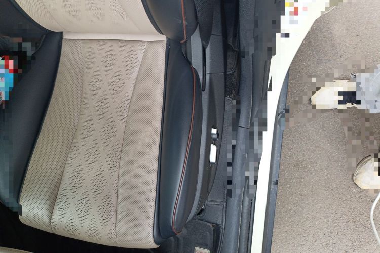 Used BYD Dolphin 2023 420 km Fashion Edition Left Front Seat
