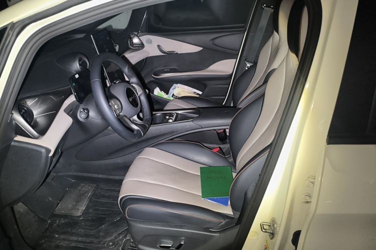Used BYD Dolphin 2023 420 km Fashion Edition Left Front Seat