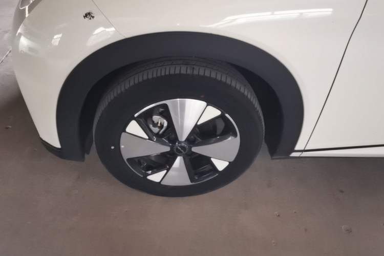 Used BYD Dolphin 2023 420 km Free Version Left Front Wheel Hub