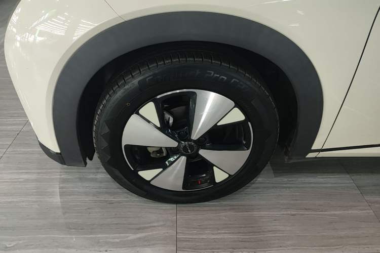 Used BYD Dolphin 2023 420 km Fashion Edition Left Front Wheel Hub
